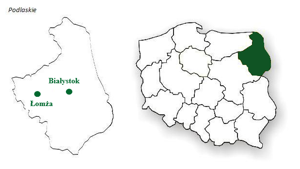 Leasingi i kredyty Białystok